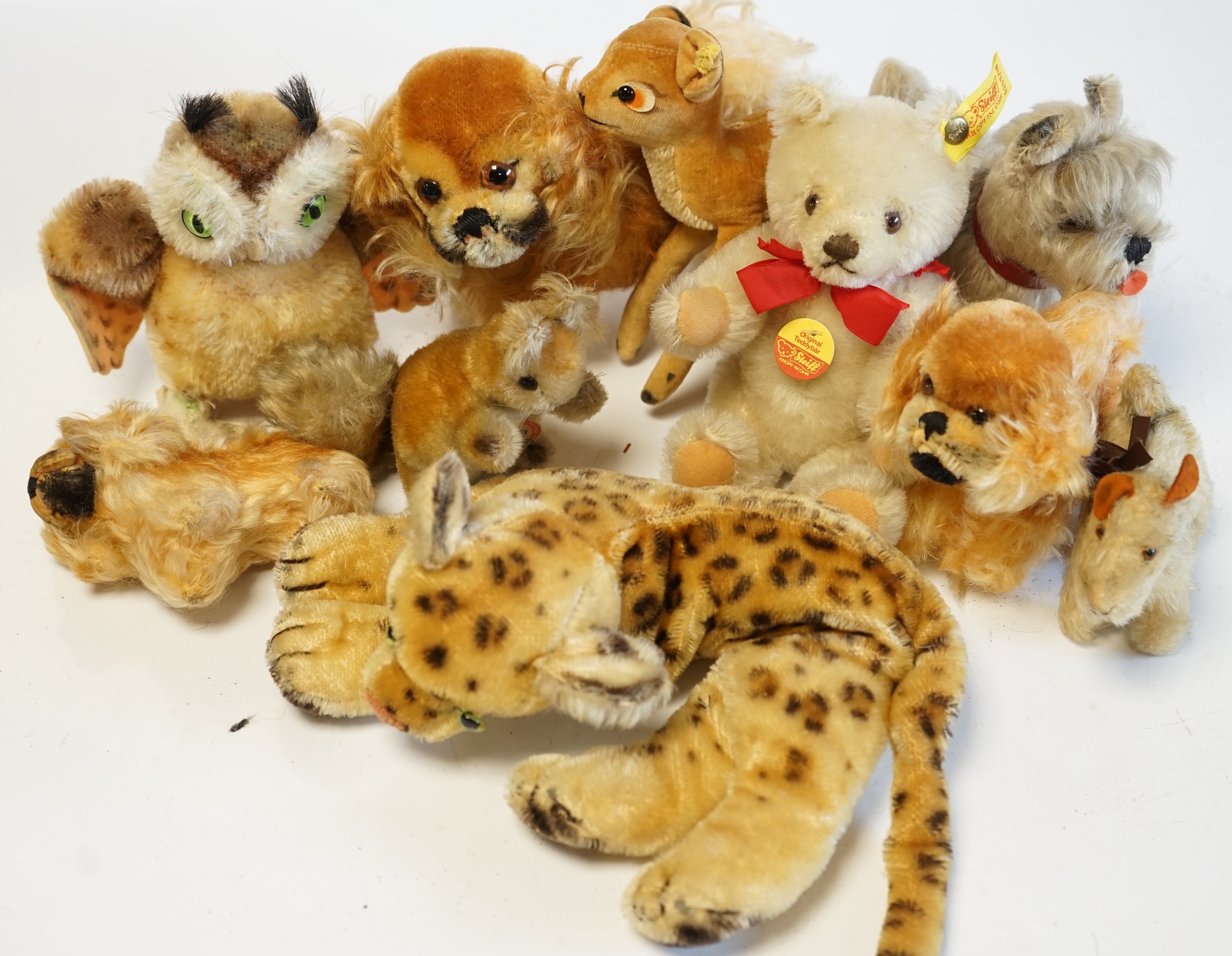 Assorted 1960's Steiff animals including three Petsy small white original teddy, Wittie owl and others (10). Condition - fair